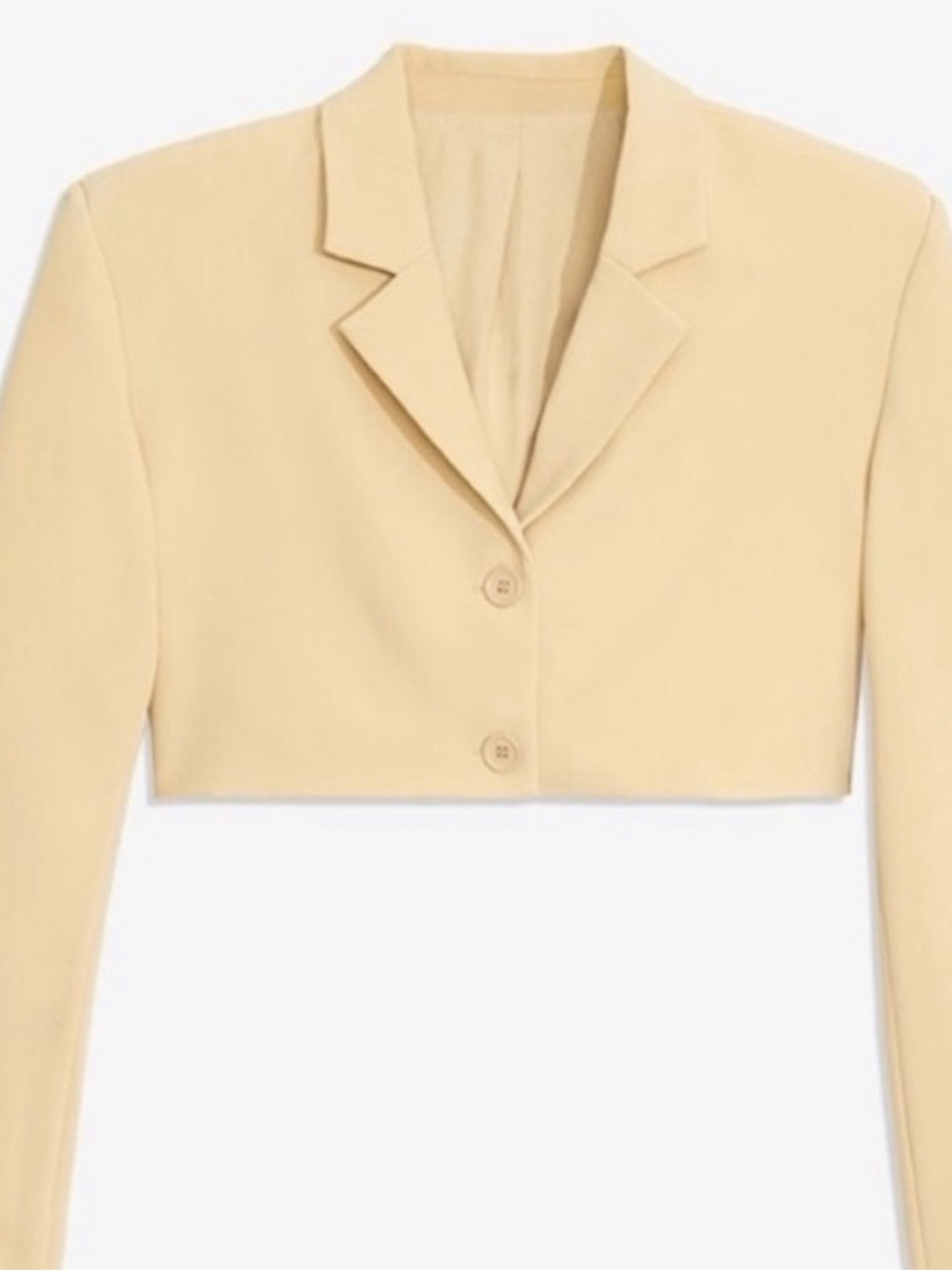 DANIELLE BERNSTEIN Cropped Blazer in Soft Pale Yellow